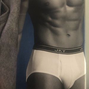 Package of 4 Large briefs